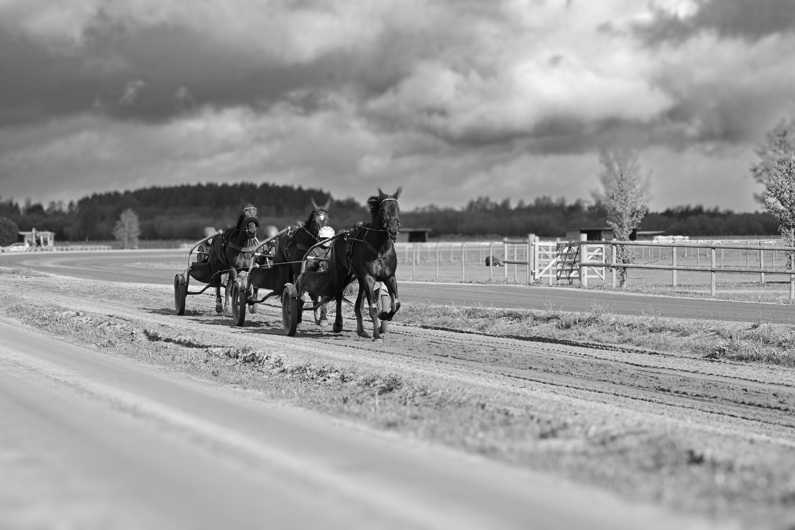 Tre hästar i sulkier i hård träning på banan