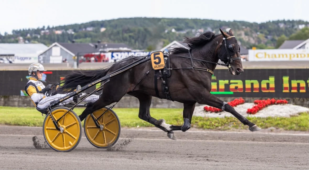 Häst i full fart på tävlingsbanan