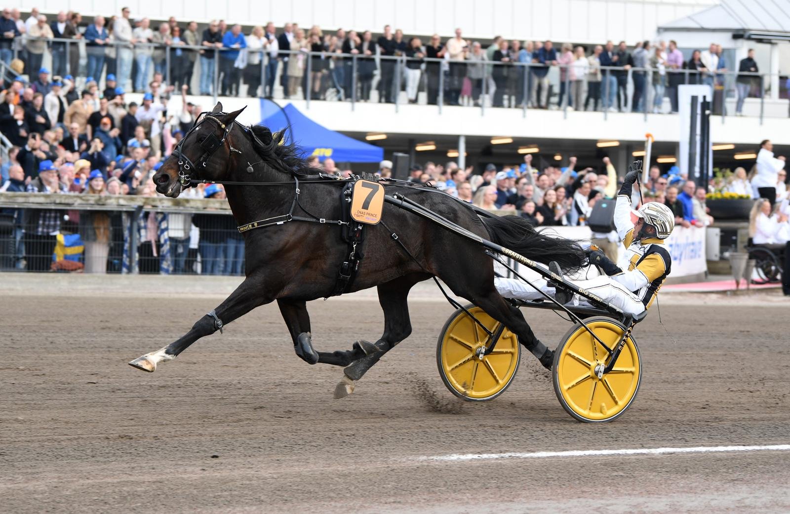 Önas Prince i lopp med Per Nordström